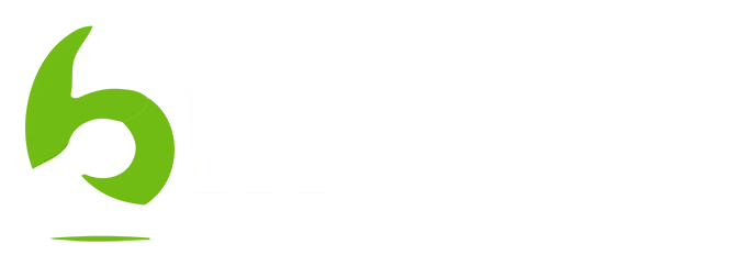 6 WICKETS